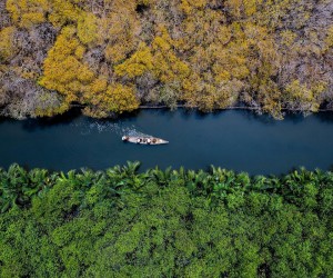 Can Gio Mangroves Forest