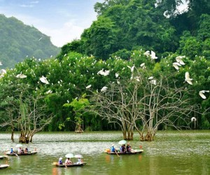 Thung Nham Bird Park